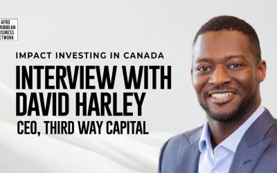 Investing for Change: Lessons on Impact Investing in Africa from David Harley of Third Way Capital